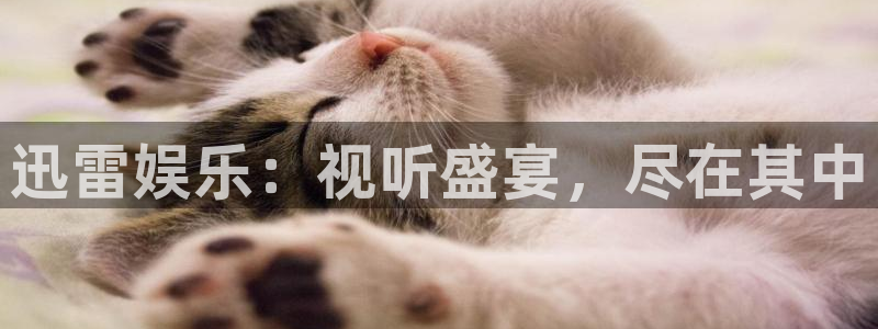 富邦娱乐：迅雷娱乐：视听盛宴，尽在其中