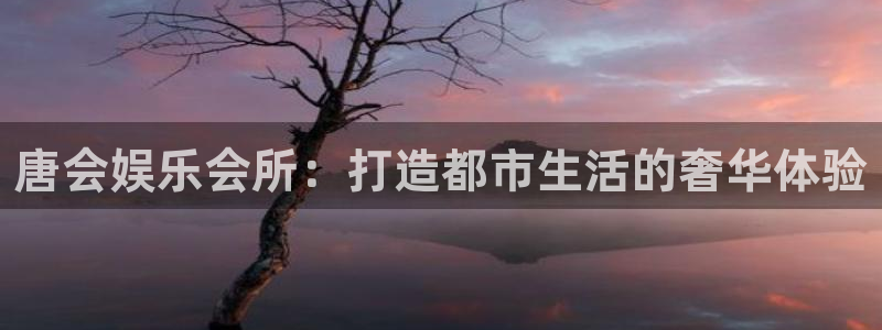 富邦娱乐：唐会娱乐会所：打造都市生活的奢华体验