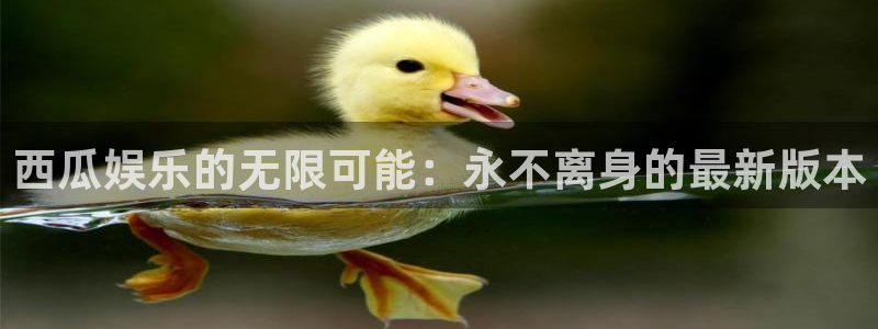 富邦娱乐：西瓜娱乐的无限可能：永不离身的最新版本
