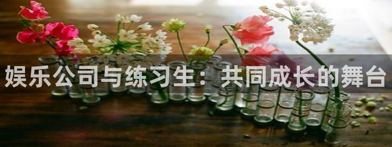 富邦娱乐：娱乐公司与练习生：共同成长的舞台