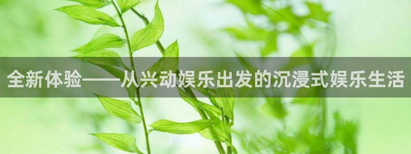 富邦娱乐：全新体验——从兴动娱乐出发的沉浸式娱乐生活