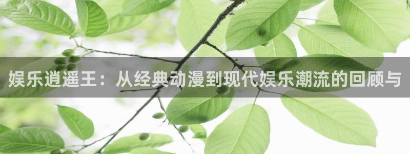 富邦娱乐：娱乐逍遥王：从经典动漫到现代娱乐潮流的回顾与