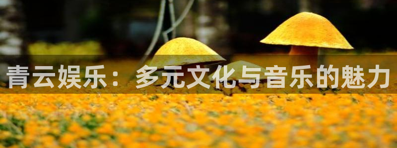 富邦娱乐：青云娱乐：多元文化与音乐的魅力